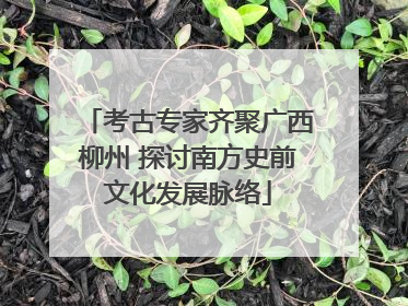 考古专家齐聚广西柳州 探讨南方史前文化发展脉络