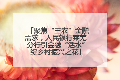 聚焦“三农”金融需求，人民银行莱芜分行引金融“活水”绽乡村振兴之花