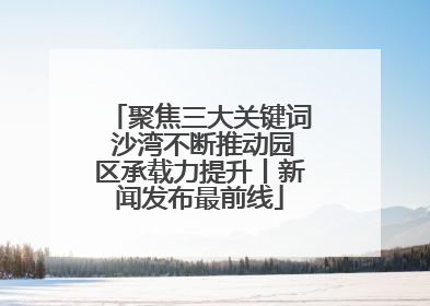 聚焦三大关键词 沙湾不断推动园区承载力提升丨新闻发布最前线
