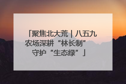 聚焦北大荒｜八五九农场深耕“林长制” 守护“生态绿”