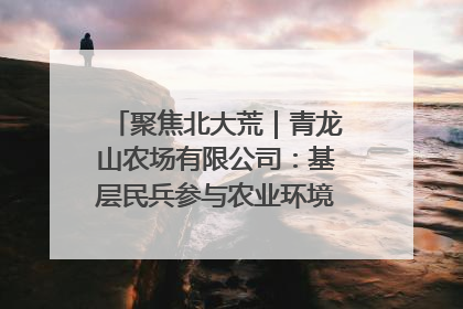 聚焦北大荒｜青龙山农场有限公司：基层民兵参与农业环境综合治理显效