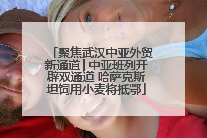 聚焦武汉中亚外贸新通道│中亚班列开辟双通道 哈萨克斯坦饲用小麦将抵鄂