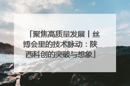 聚焦高质量发展丨丝博会里的技术脉动：陕西科创的突破与想象