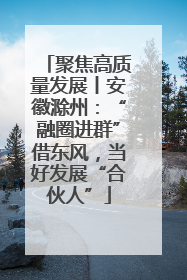 聚焦高质量发展丨安徽滁州：“融圈进群”借东风，当好发展“合伙人”