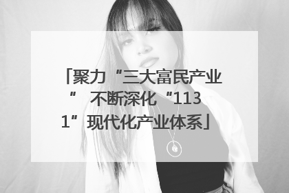 聚力“三大富民产业” 不断深化“1131”现代化产业体系