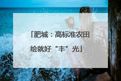 肥城：高标准农田绘就好“丰”光