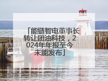 能链智电董事长转让团油科技，2024年年报至今未能发布