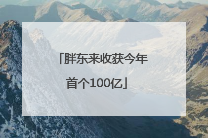 胖东来收获今年首个100亿