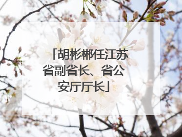 胡彬郴任江苏省副省长、省公安厅厅长