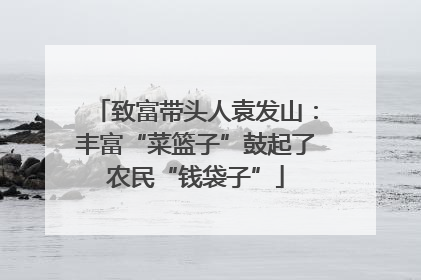 致富带头人袁发山：丰富“菜篮子”鼓起了农民“钱袋子”