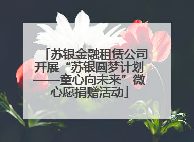 苏银金融租赁公司开展“苏银圆梦计划——童心向未来”微心愿捐赠活动