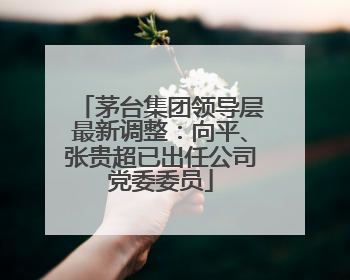 茅台集团领导层最新调整：向平、张贵超已出任公司党委委员