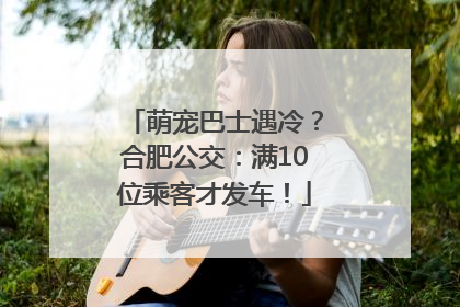 萌宠巴士遇冷？合肥公交：满10位乘客才发车！