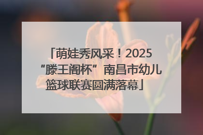 萌娃秀风采！2025“滕王阁杯”南昌市幼儿篮球联赛圆满落幕