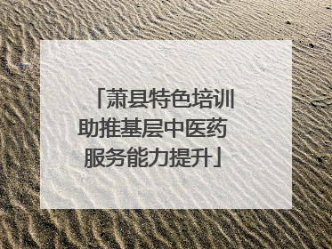 萧县特色培训助推基层中医药服务能力提升