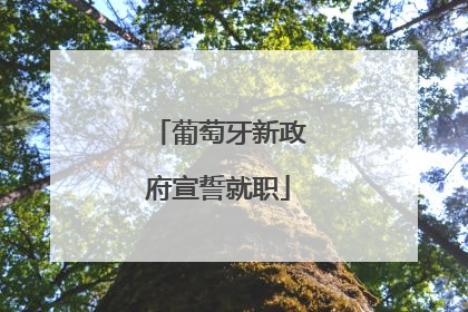葡萄牙新政府宣誓就职