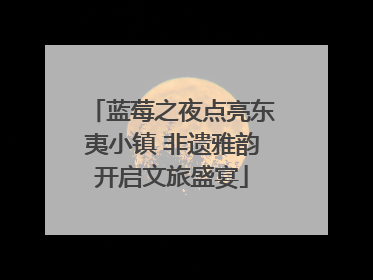 蓝莓之夜点亮东夷小镇 非遗雅韵开启文旅盛宴