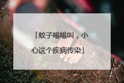 蚊子嗡嗡叫，小心这个疾病传染