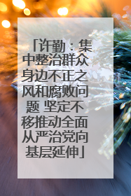 许勤：集中整治群众身边不正之风和腐败问题 坚定不移推动全面从严治党向基层延伸