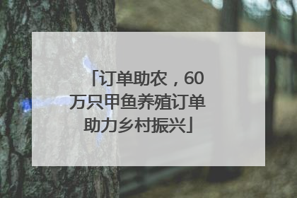 订单助农，60万只甲鱼养殖订单助力乡村振兴