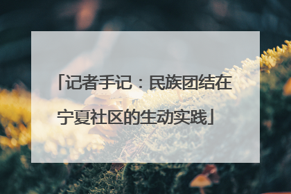 记者手记：民族团结在宁夏社区的生动实践
