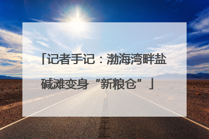 记者手记：渤海湾畔盐碱滩变身“新粮仓”