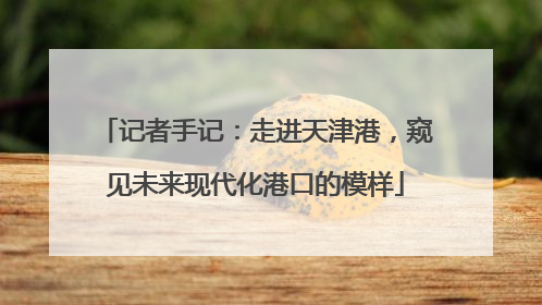 记者手记：走进天津港，窥见未来现代化港口的模样