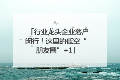 行业龙头企业落户闵行！这里的低空“朋友圈”+1