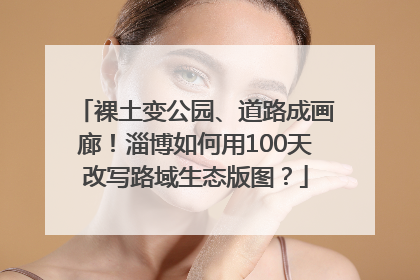 裸土变公园、道路成画廊！淄博如何用100天改写路域生态版图？