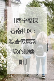 西宁福禄巷南社区：粽香传廉韵 党心映端阳