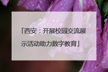 西安：开展校园交流展示活动助力数字教育