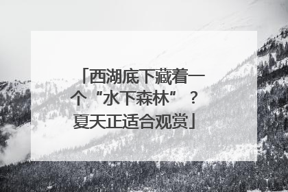 西湖底下藏着一个“水下森林”？夏天正适合观赏