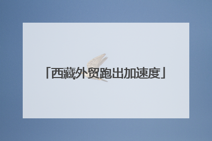 西藏外贸跑出加速度