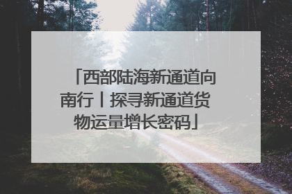 西部陆海新通道向南行丨探寻新通道货物运量增长密码