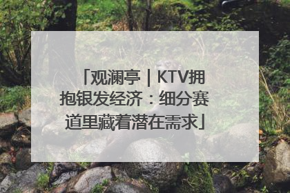 观澜亭｜KTV拥抱银发经济：细分赛道里藏着潜在需求
