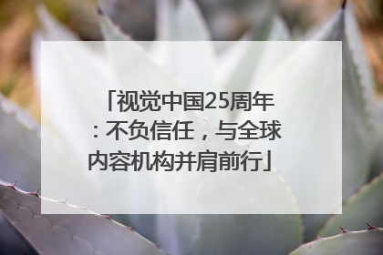 视觉中国25周年：不负信任，与全球内容机构并肩前行