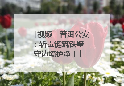 视频｜普洱公安：斩毒链筑铁壁 守边境护净土