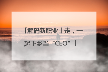 解码新职业丨走，一起下乡当“CEO”