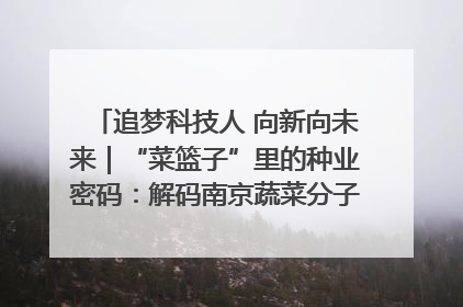 追梦科技人 向新向未来｜“菜篮子”里的种业密码：解码南京蔬菜分子育种的创新之路
