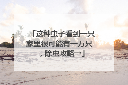 这种虫子看到一只家里很可能有一万只，除虫攻略→