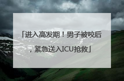 进入高发期！男子被咬后，紧急送入ICU抢救