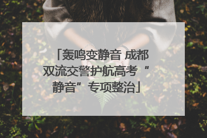 轰鸣变静音 成都双流交警护航高考“静音”专项整治