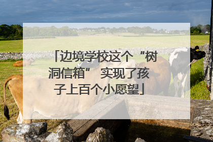 边境学校这个“树洞信箱” 实现了孩子上百个小愿望