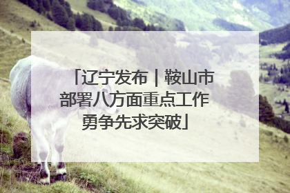辽宁发布｜鞍山市部署八方面重点工作勇争先求突破