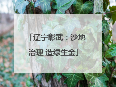辽宁彰武：沙地治理 造绿生金