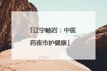 辽宁岫岩：中医药夜市护健康