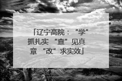 辽宁高院：“学”抓扎实 “查”见真章 “改”求实效