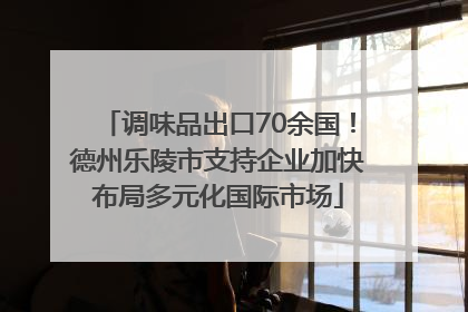 调味品出口70余国！德州乐陵市支持企业加快布局多元化国际市场