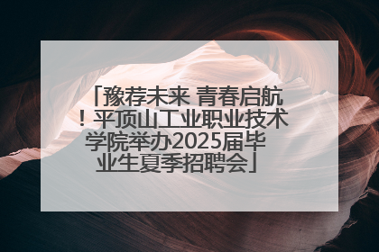 豫荐未来 青春启航！平顶山工业职业技术学院举办2025届毕业生夏季招聘会