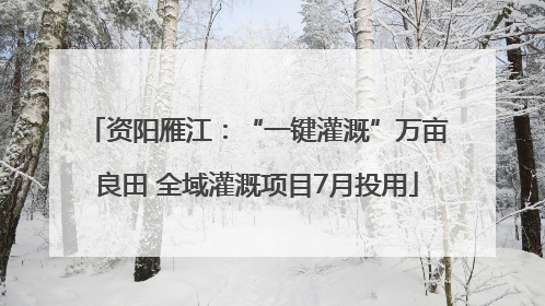 资阳雁江：“一键灌溉”万亩良田 全域灌溉项目7月投用